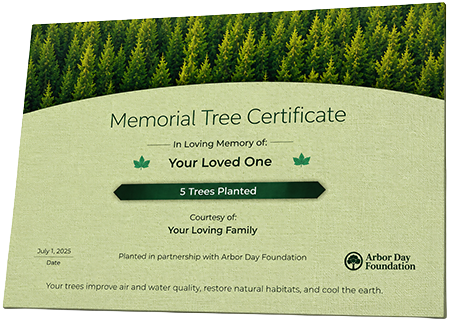 Plant Trees in Memory of George Brown